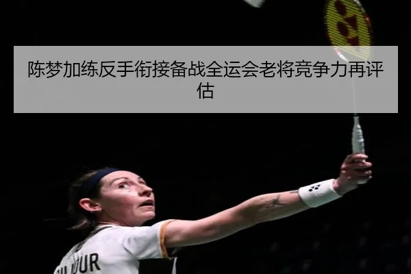 陈梦加练反手衔接备战全运会老将竞争力再评估